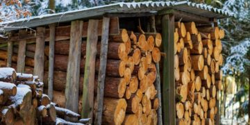 Le Gouvernement lance le Chèque Bois pour aider 2,6 millions de ménages