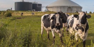 Comprendre les émissions de méthane dans l'industrie du biogaz