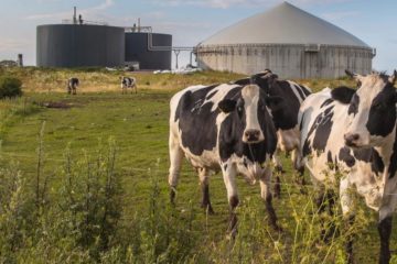 Comprendre les émissions de méthane dans l'industrie du biogaz