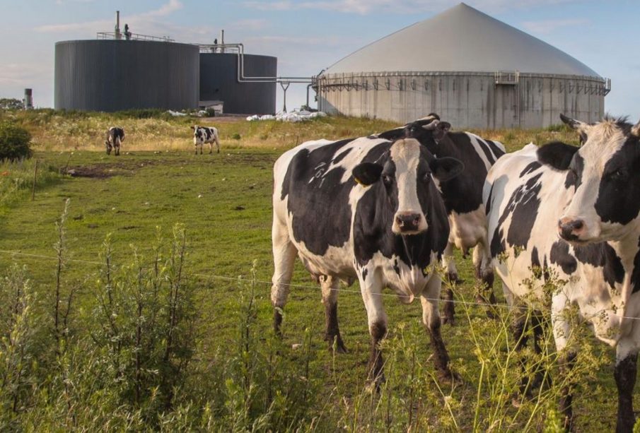 Comprendre les émissions de méthane dans l'industrie du biogaz